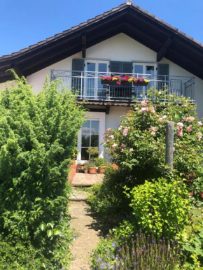 Bella Vista, Laufen